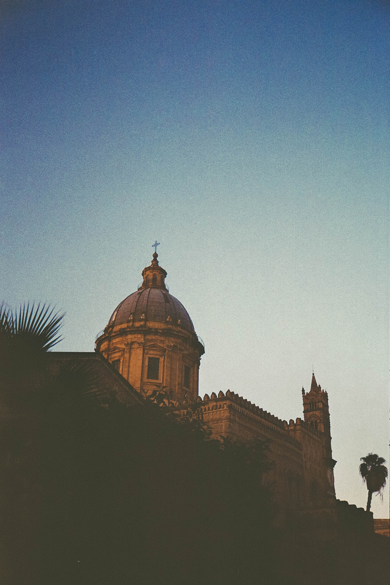 analogue 12