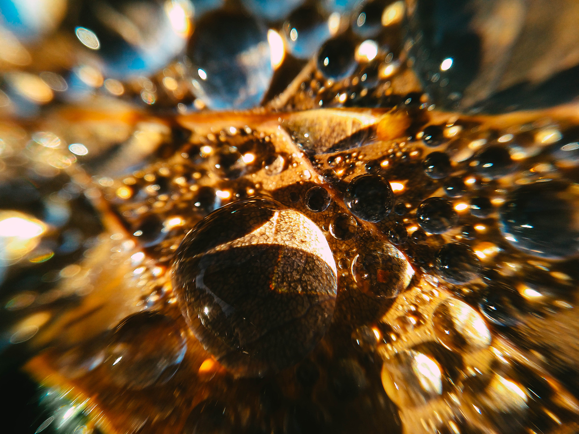 macro 10