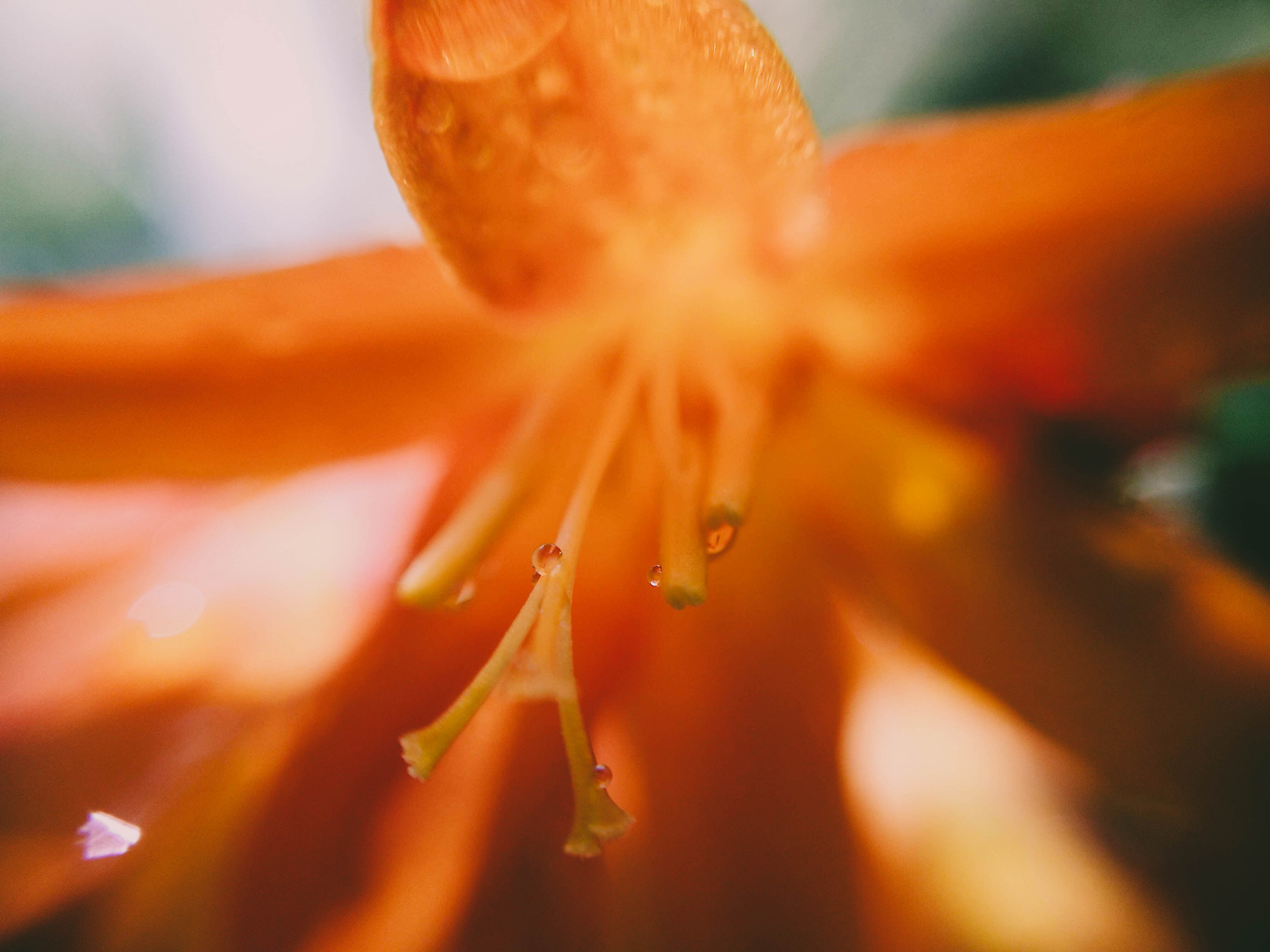 macro 9